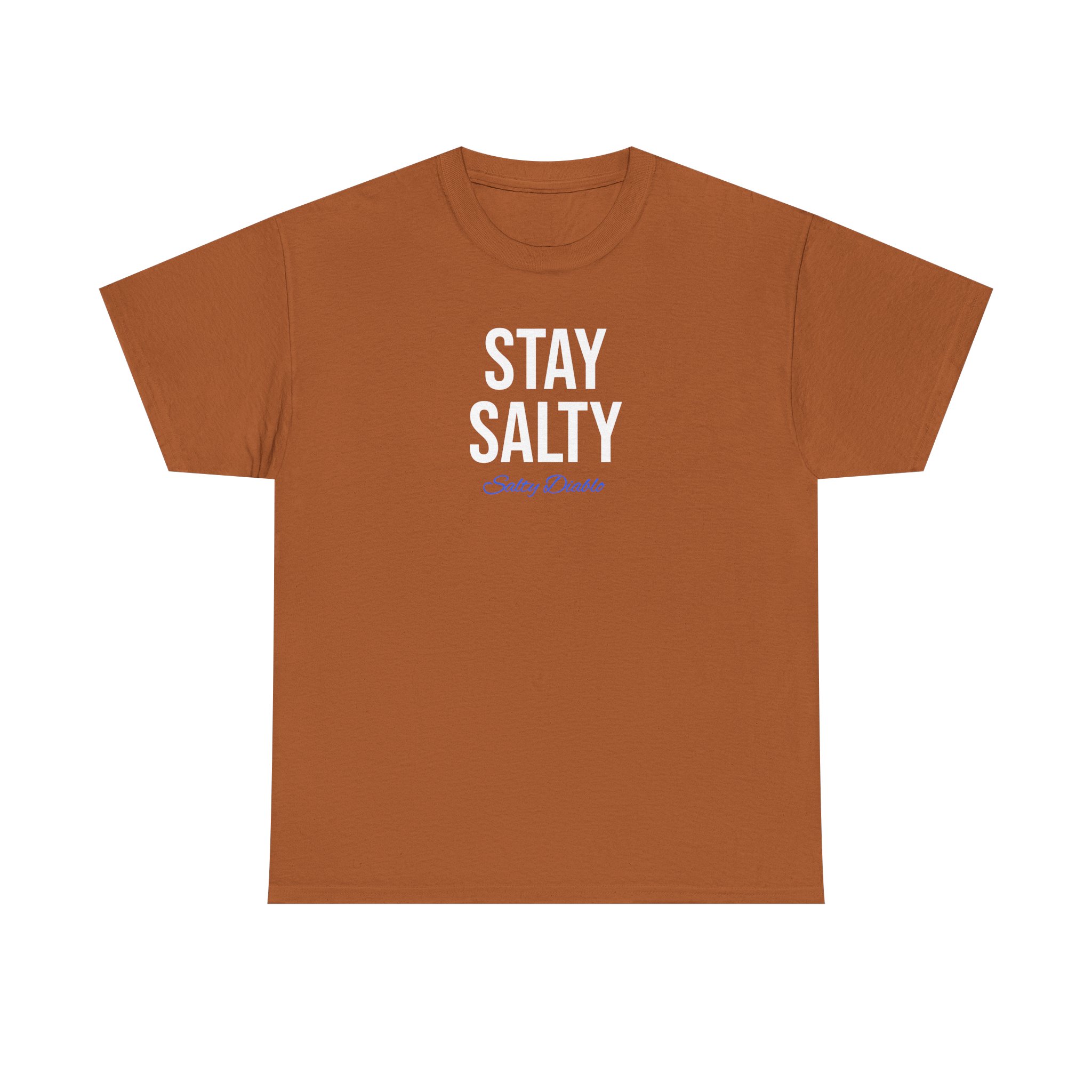 Salty Diablo - Stay Salty T-Shirt – Unisex Heavy Cotton Beach Graphic Tee | Funny Coastal Summer Shirt