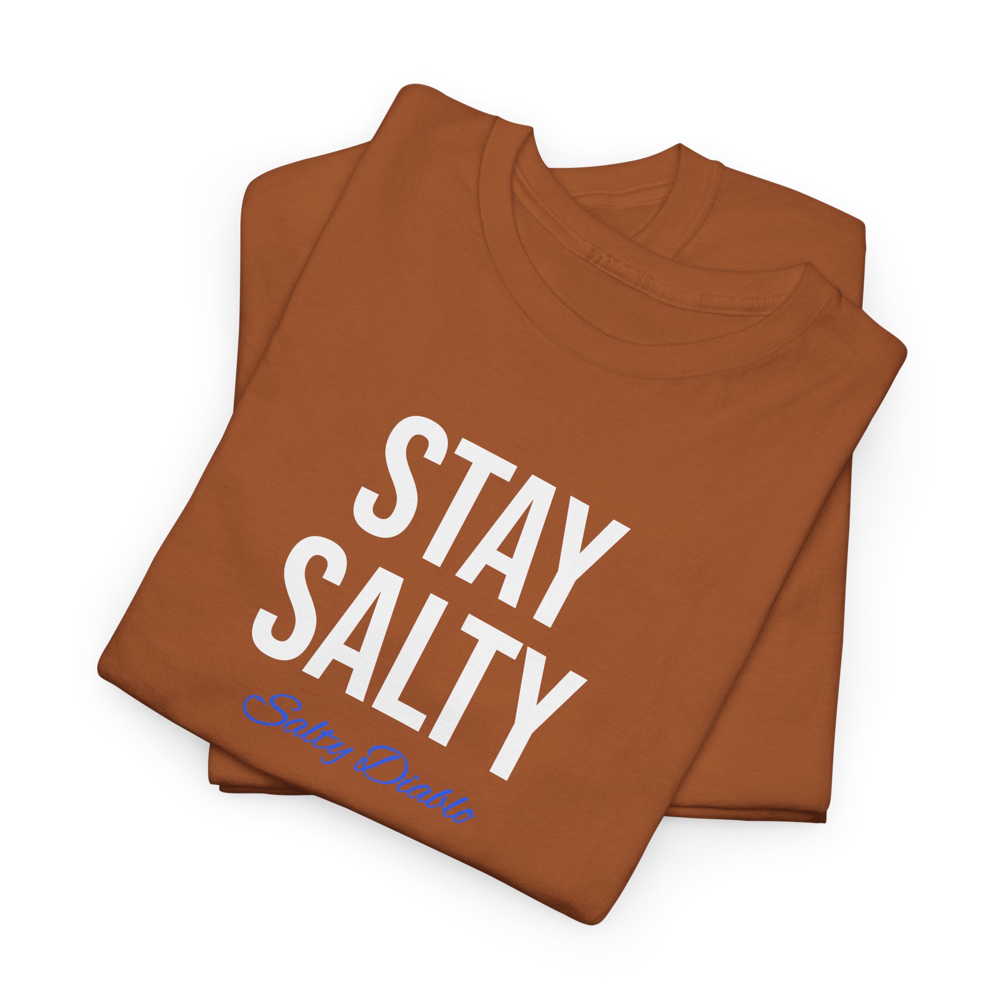 Salty Diablo - Stay Salty T-Shirt – Unisex Heavy Cotton Beach Graphic Tee | Funny Coastal Summer Shirt