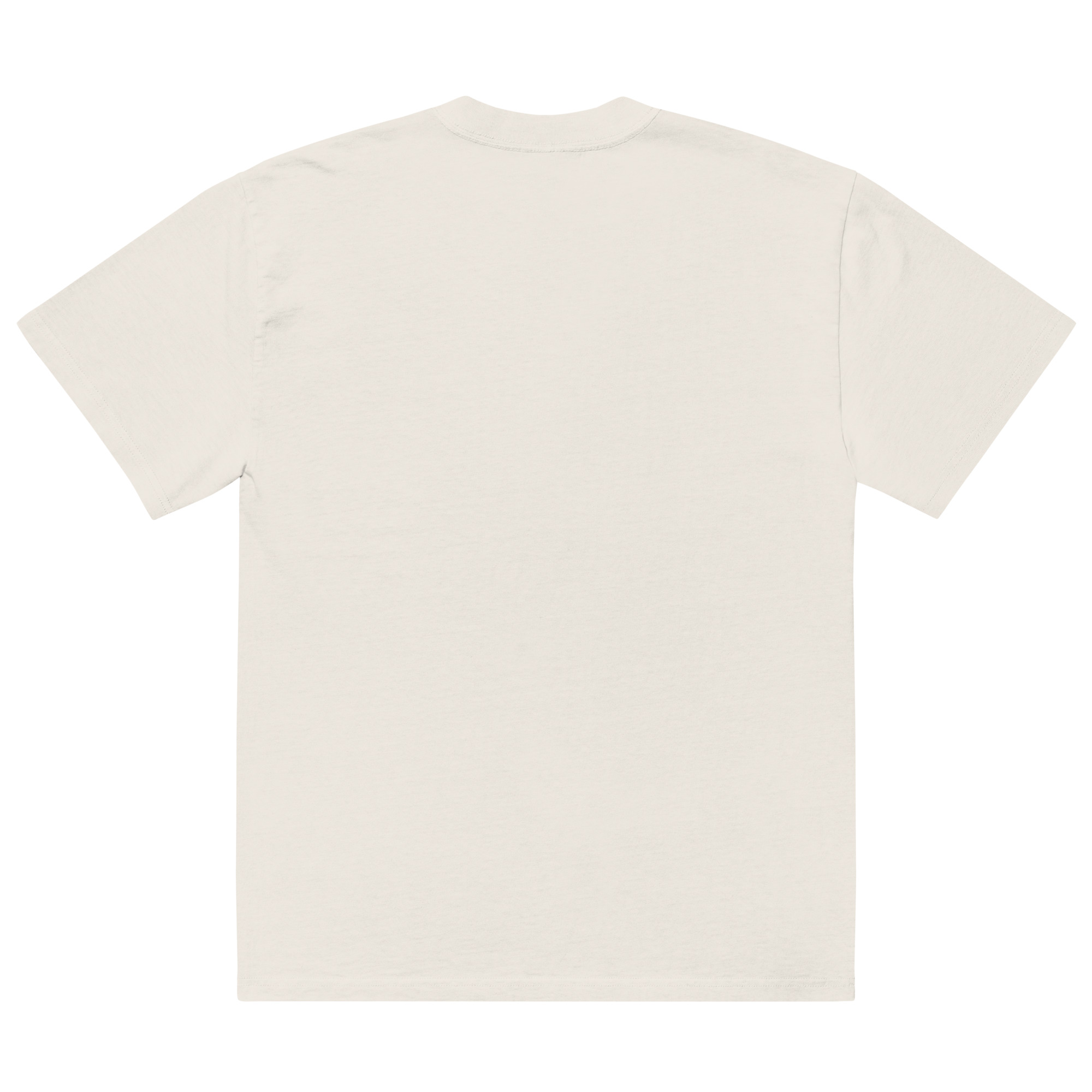 Salty Diablo OG Oversized Faded T-Shirt