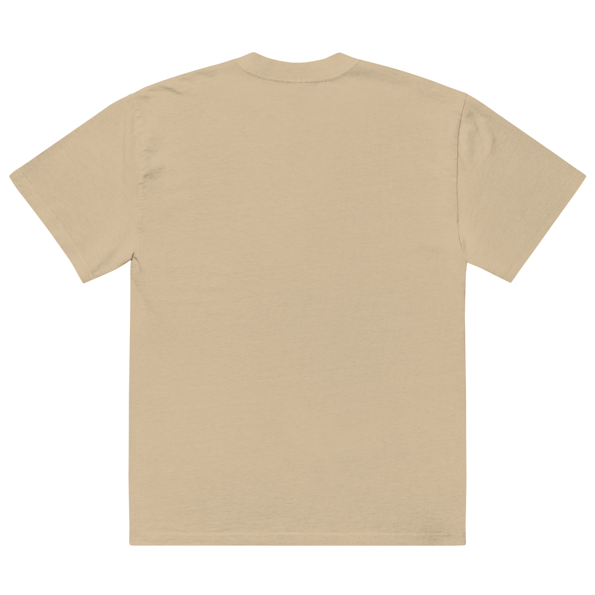 Salty Diablo OG Oversized Faded T-Shirt